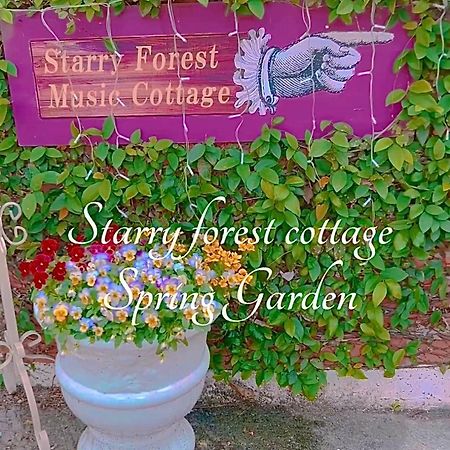 Cats,Piano & Starry Sky Resort Garden -Starry Forest Cottage Okinawa- Onna Luaran gambar