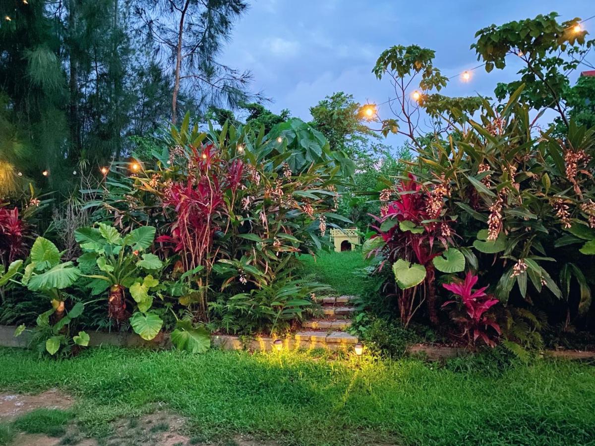 Cats,Piano & Starry Sky Resort Garden -Starry Forest Cottage Okinawa- Onna Luaran gambar