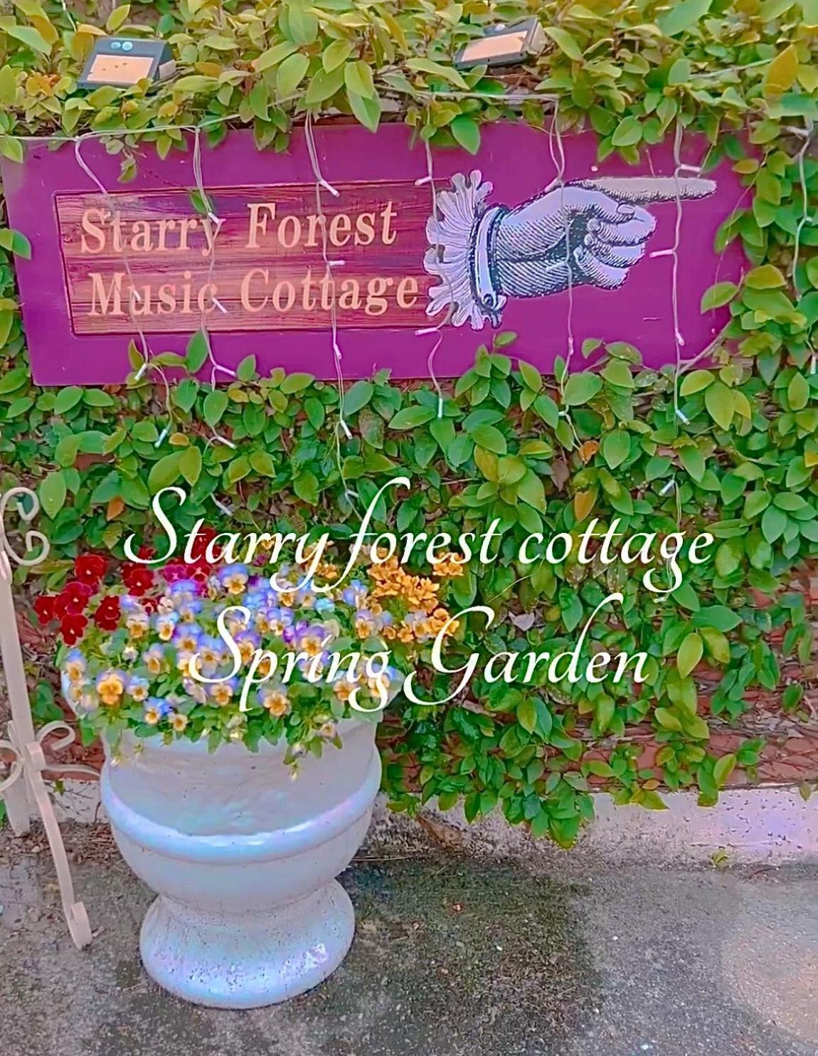Cats,Piano & Starry Sky Resort Garden -Starry Forest Cottage Okinawa- Onna Luaran gambar