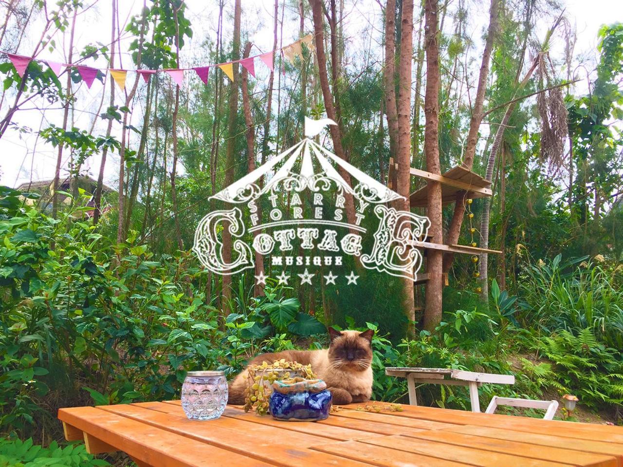 Cats,Piano & Starry Sky Resort Garden -Starry Forest Cottage Okinawa- Onna Luaran gambar